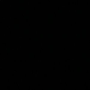 Meet your Posher, Wesley